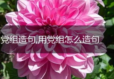 党组造句,用党组怎么造句