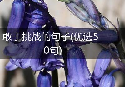 敢于挑战的句子(优选50句)