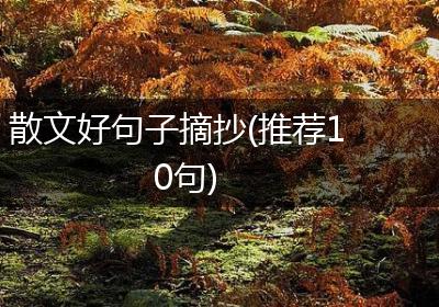 散文好句子摘抄(推荐10句)