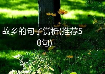 故乡的句子赏析(推荐50句)