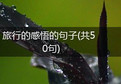 旅行的感悟的句子(共50句)