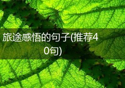 旅途感悟的句子(推荐40句)