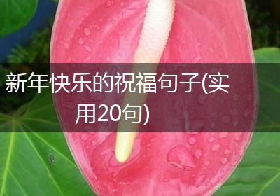 新年快乐的祝福句子(实用20句)