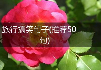 旅行搞笑句子(推荐50句)
