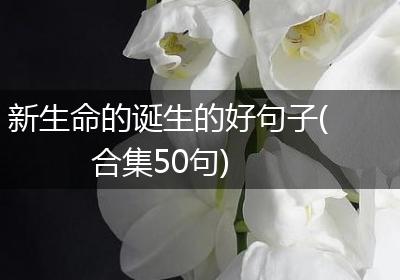 新生命的诞生的好句子(合集50句)