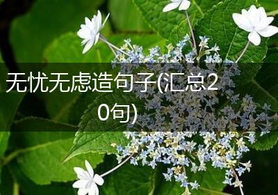 无忧无虑造句子(汇总20句)