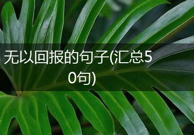 无以回报的句子(汇总50句)