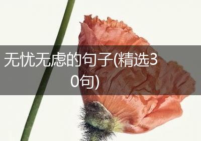 无忧无虑的句子(精选30句)