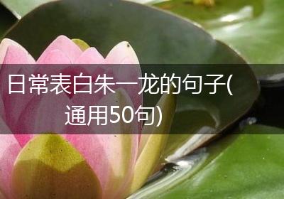 日常表白朱一龙的句子(通用50句)