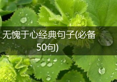 无愧于心经典句子(必备50句)