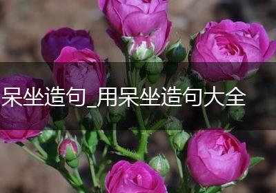 呆坐造句_用呆坐造句大全