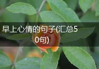 早上心情的句子(汇总50句)