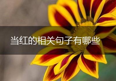 当红的相关句子有哪些