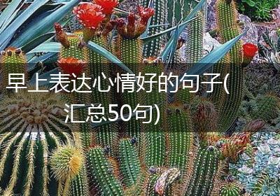 早上表达心情好的句子(汇总50句)
