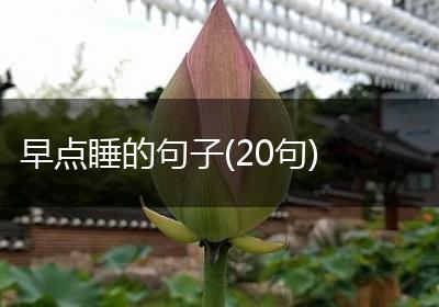 早点睡的句子(20句)