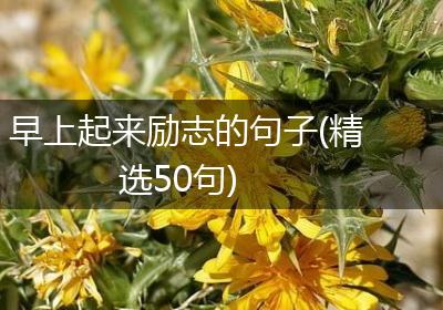 早上起来励志的句子(精选50句)