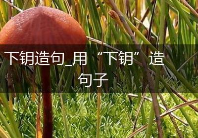 下钥造句_用“下钥”造句子