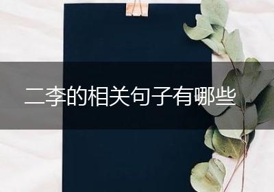 二李的相关句子有哪些