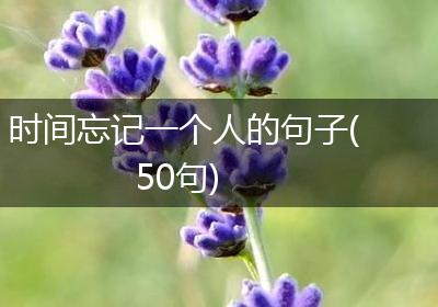 时间忘记一个人的句子(50句)