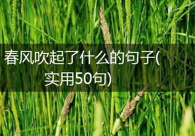春风吹起了什么的句子(实用50句)