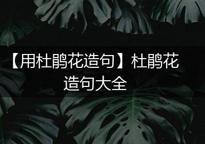 【用杜鹃花造句】杜鹃花造句大全