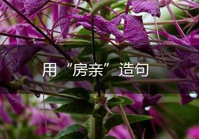 用“房亲”造句