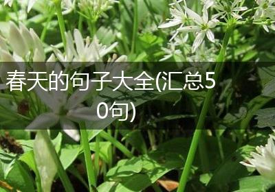 春天的句子大全(汇总50句)