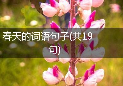 春天的词语句子(共19句)
