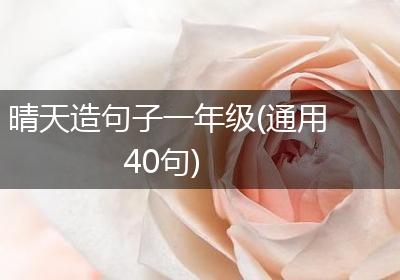 晴天造句子一年级(通用40句)