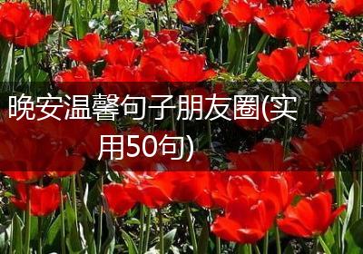 晚安温馨句子朋友圈(实用50句)