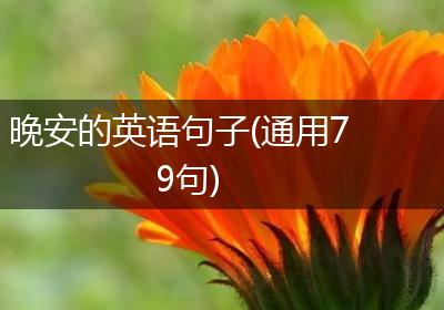 晚安的英语句子(通用79句)