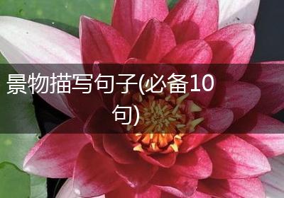 景物描写句子(必备10句)