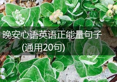 晚安心语英语正能量句子(通用20句)