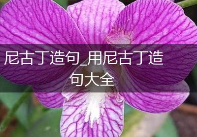 尼古丁造句_用尼古丁造句大全