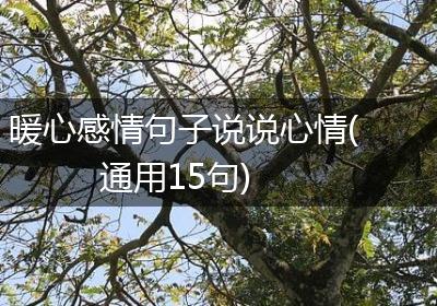暖心感情句子说说心情(通用15句)
