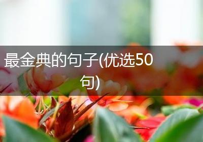 最金典的句子(优选50句)