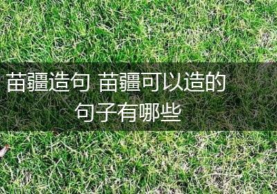 苗疆造句 苗疆可以造的句子有哪些