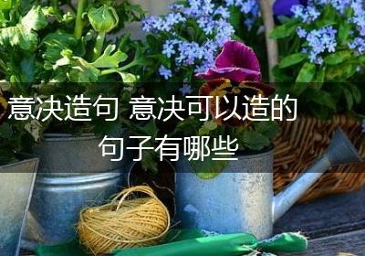 意决造句 意决可以造的句子有哪些