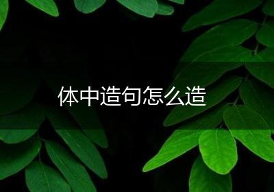 体中造句怎么造