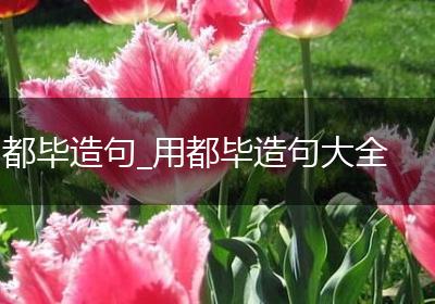 都毕造句_用都毕造句大全