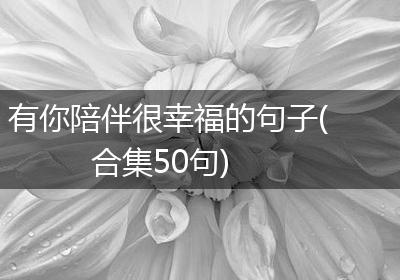 有你陪伴很幸福的句子(合集50句)