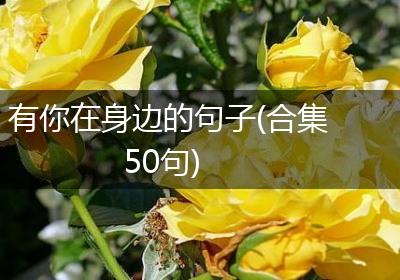 有你在身边的句子(合集50句)