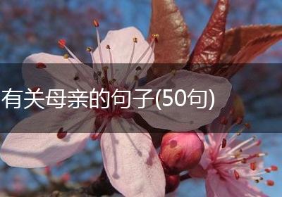 有关母亲的句子(50句)