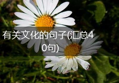 有关文化的句子(汇总40句)