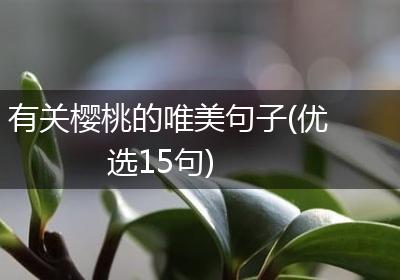 有关樱桃的唯美句子(优选15句)