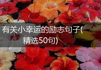 有关小幸运的励志句子(精选50句)
