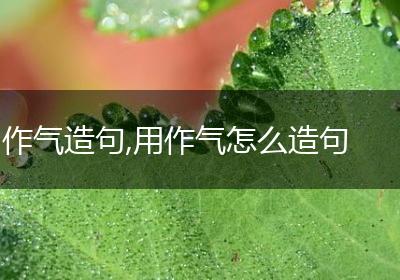 作气造句,用作气怎么造句