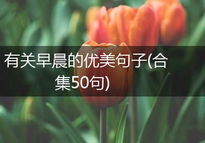 有关早晨的优美句子(合集50句)
