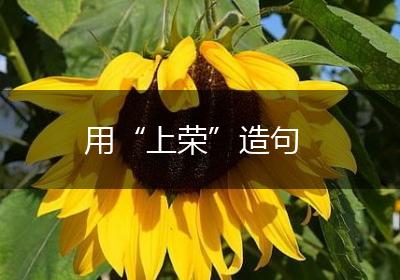 用“上荣”造句