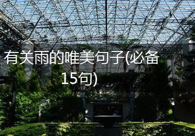 有关雨的唯美句子(必备15句)
